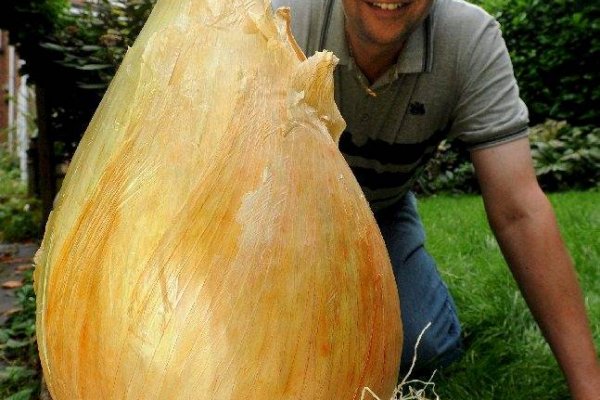 Актуальная ссылка на кракен